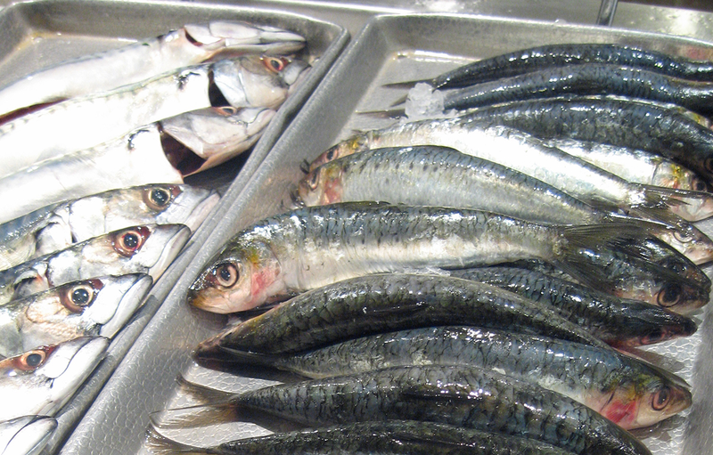 El pescado azul fresco, como las sardinas o el atún es una buena fuente de vitamina D. Foto: feministjulie / Flickr